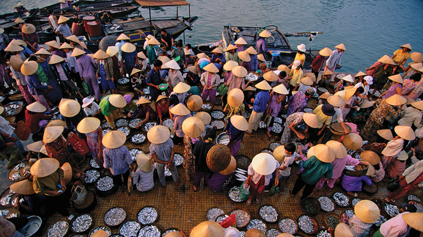 An overhead view of a busy fish market in Hoi An, Vietnam, with many vendors in conical hats sorting fish into baskets.