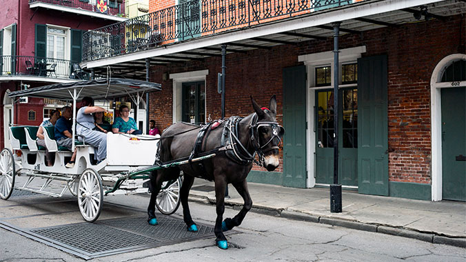 Signature City New Orleans