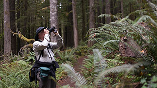 A photographer in a lush green forest of ferns and trees raises their camera to take a picture.