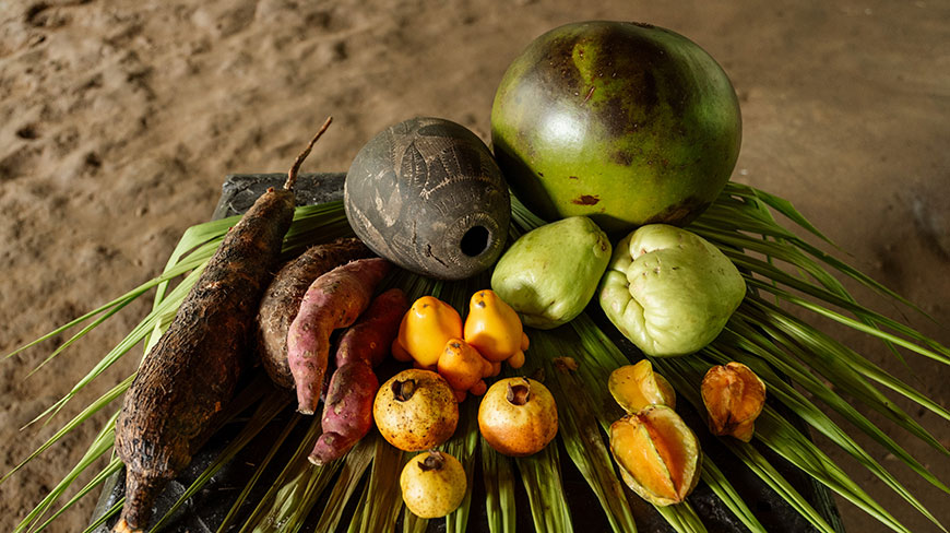 A colorful assortment of tropical fruits and root vegetables from a farm in Costa Rica are displayed on a bed of palm leaves.