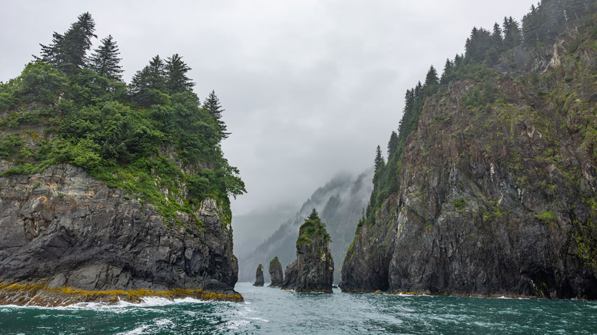 Towering rocky cliffs covered in green trees line the choppy waters of a fjord on a cloudy day in Alaska.