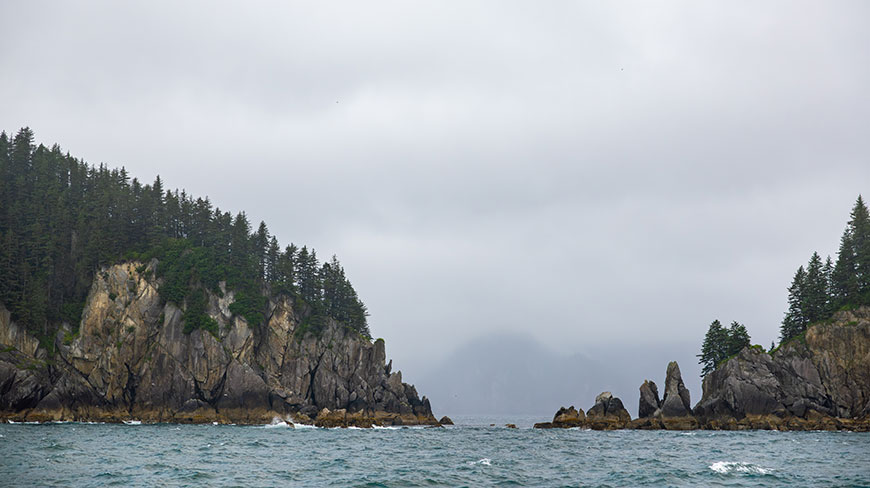Rocky, tree-covered cliffs rise from the choppy waters of a fjord in Alaska under an overcast sky.