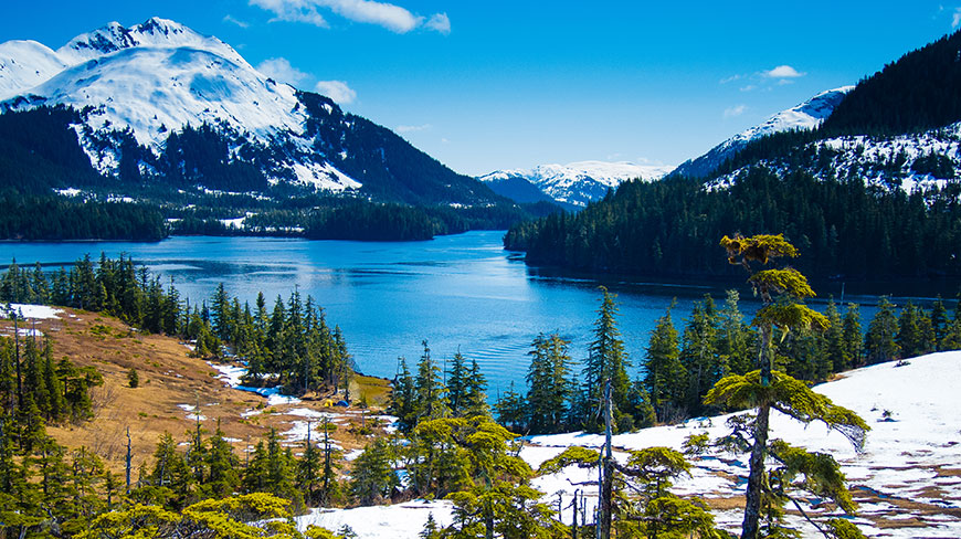 Snow-capped mountains rise above the blue waters of Prince William Sound in Alaska, with evergreen forests lining the shores.