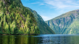 Steep, tree-covered mountains rise from the calm waters of a fjord in Misty Fjords, Alaska under a blue sky.