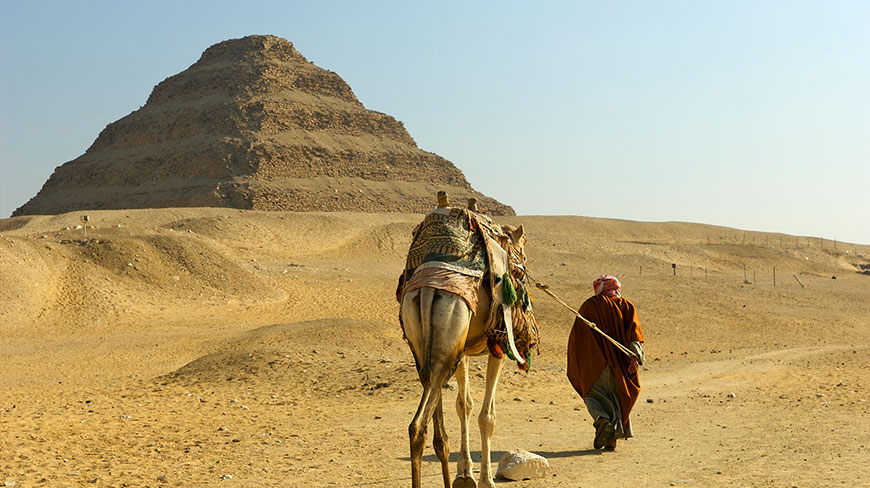 A person leads a camel through the desert with the Step Pyramid of Saqqara in the background in Egypt.