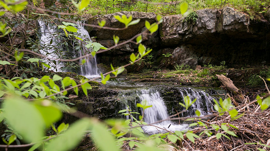 A small waterfall cascades over mossy rocks along the Appalachian Trail in Pennsylvania, seen through a frame of out-of-focus green leaves.