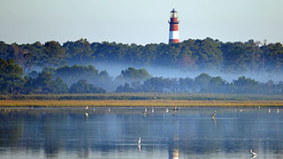 The red and white striped Assateague Lighthouse towers over a line of trees with morning fog covering the water in Chincoteague, Virginia.