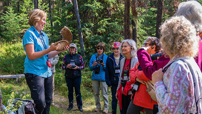Exploring Canadian Rocky Mountain Parks