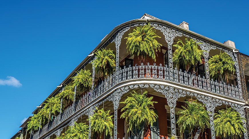 Ornate iron balconies of a building in the French Quarter, Louisiana, are filled with lush, hanging green ferns against a clear blue sky.