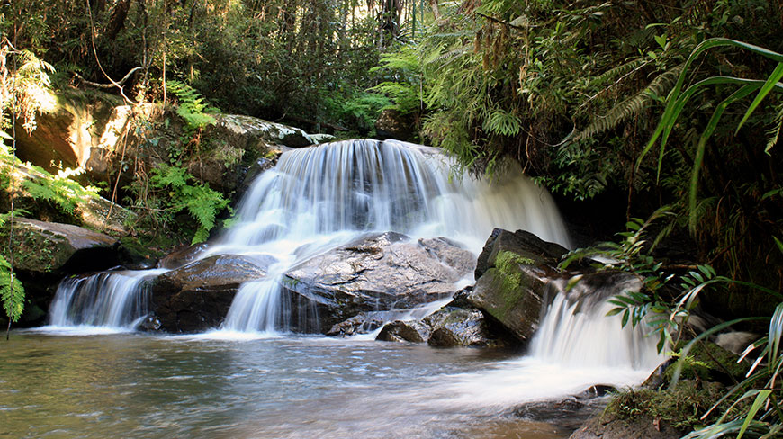A cascading waterfall flows over mossy rocks in the lush green forest of Andasibe-Mantadia National Park, Madagascar.