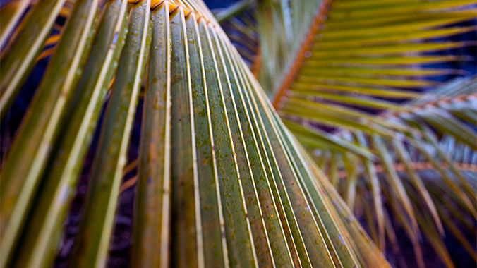 Best of Hawaii: Oahu, Big Island and Maui