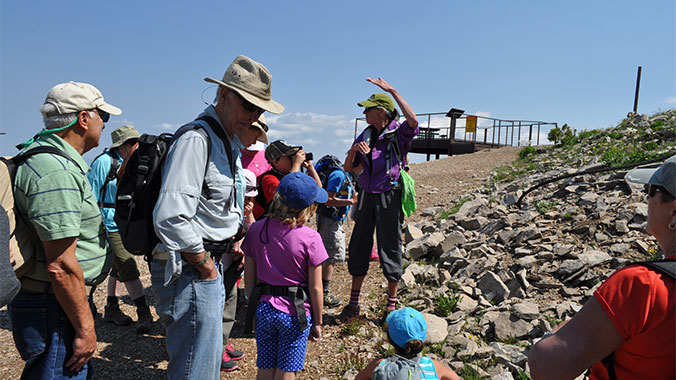 Yellowstone: A Great Outdoor Adventure With Your Family