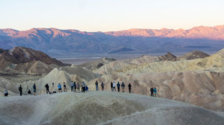 On the Road: Saguaro, Joshua Tree & Death Valley National Parks