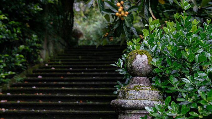 Winter in Madeira: The Island of Eternal Sunshine