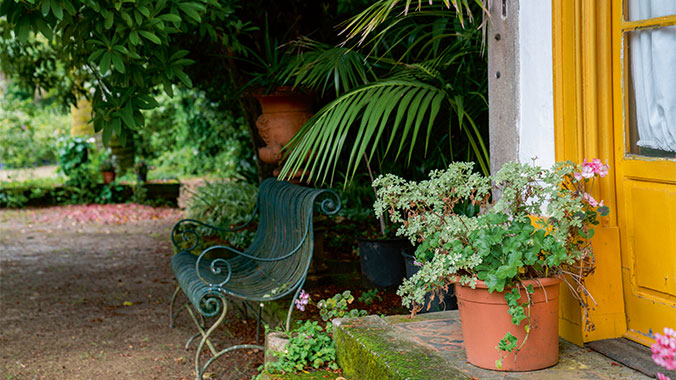 Winter in Madeira: The Island of Eternal Sunshine