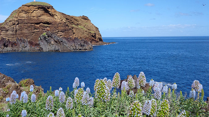 Winter in Madeira: The Island of Eternal Sunshine