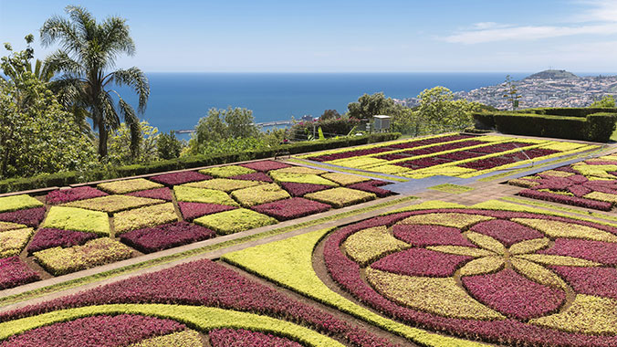 Winter in Madeira: The Island of Eternal Sunshine