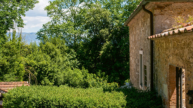 Tuscany with Your Grandchild