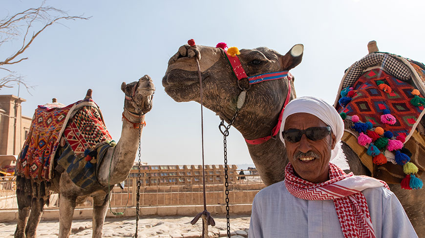 A smiling man wearing a turban and sunglasses stands in front of two camels with decorative saddles in a sunny, stone courtyard.