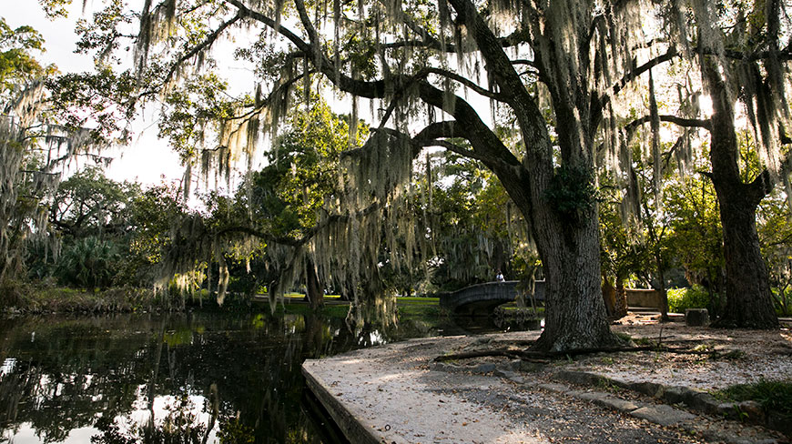 Spanish moss hangs from large oak trees next to a tranquil pond in a sunny park in New Orleans, Louisiana.