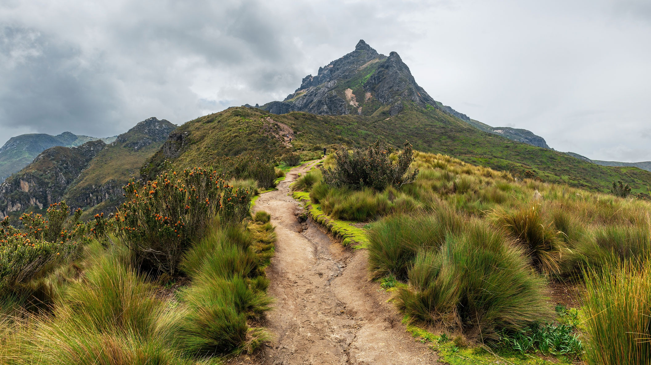 Pichincha Volcano hike