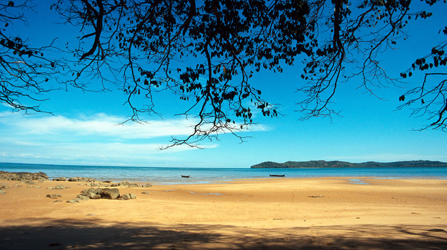 A sandy beach in Nosy Be, Madagascar, is seen through the silhouette of tree branches, with calm blue water and a distant island.